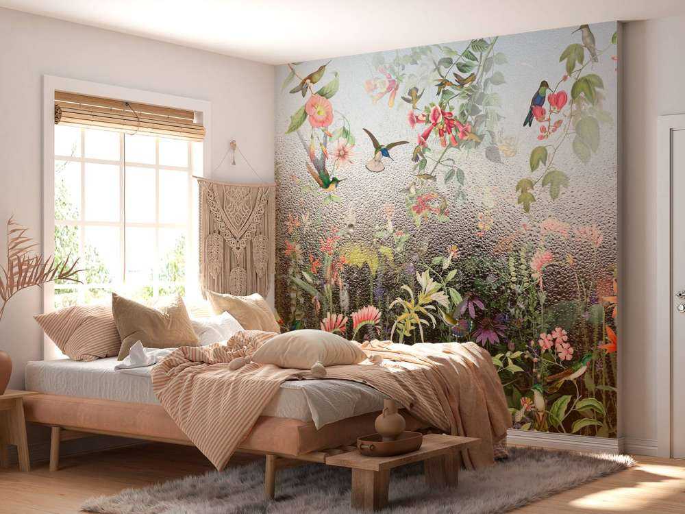 Paradis des Oiseaux Pluvieux