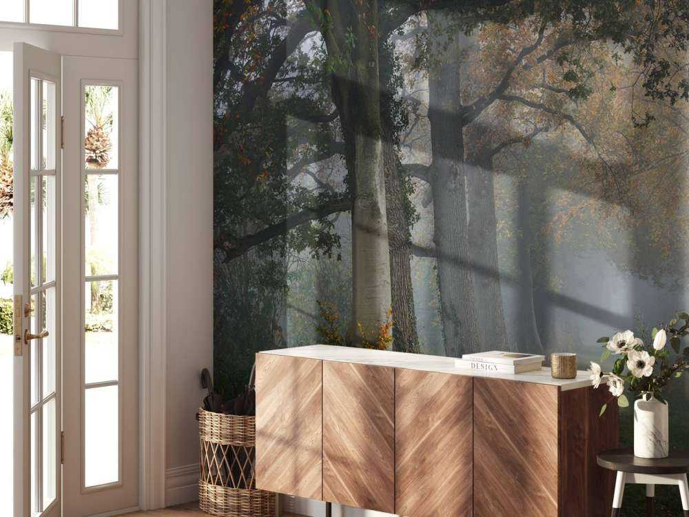 Allée avec des arbres dans le brouillard