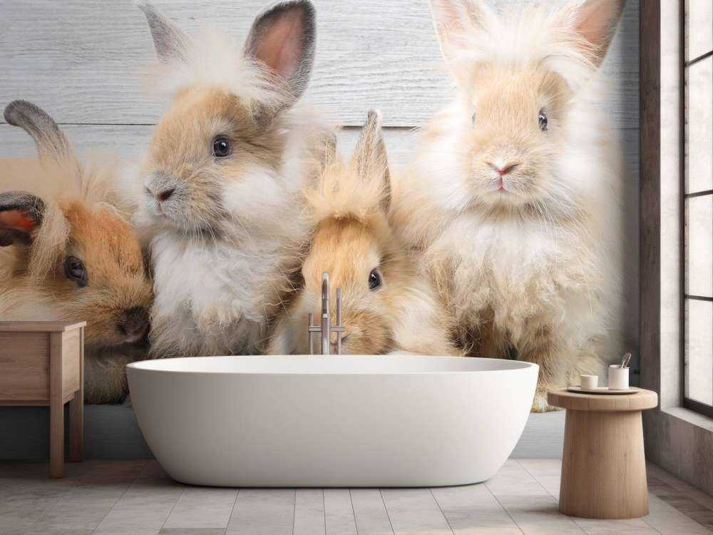 Petits lapins