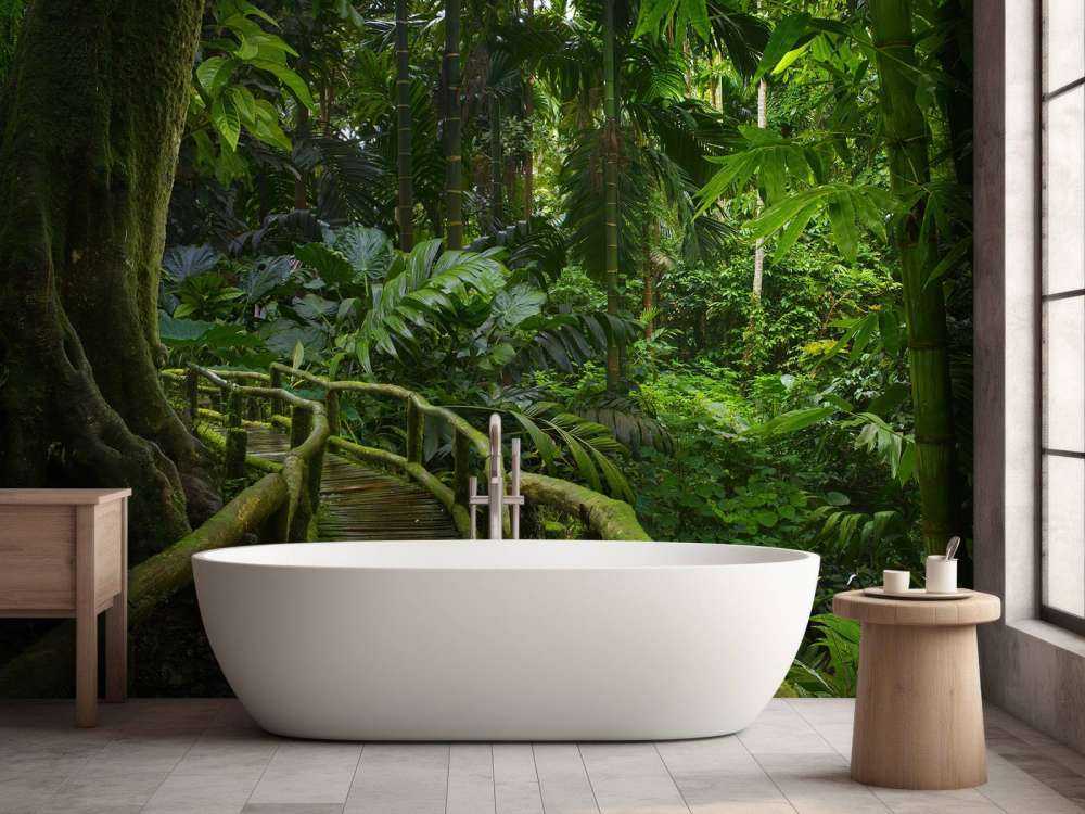 Pont étroit dans la jungle