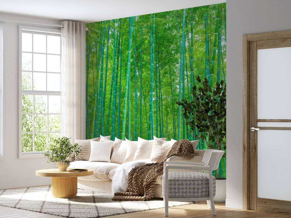Une forêt verte de bambous