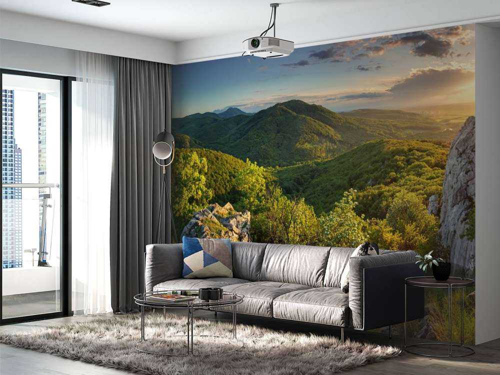 Forêt de montagne