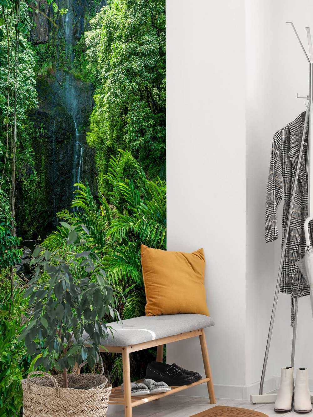 Jungle et pierres