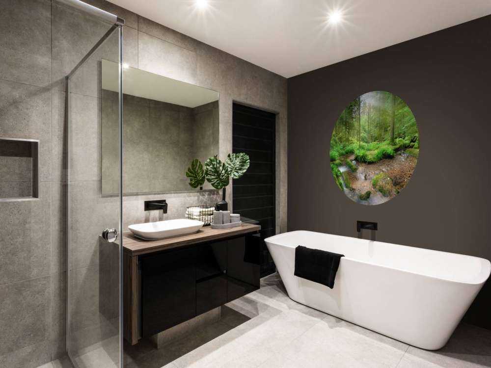 Paysage forestier enchanteur