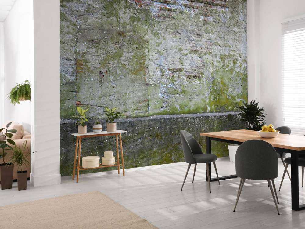 Mousse sur un vieux mur