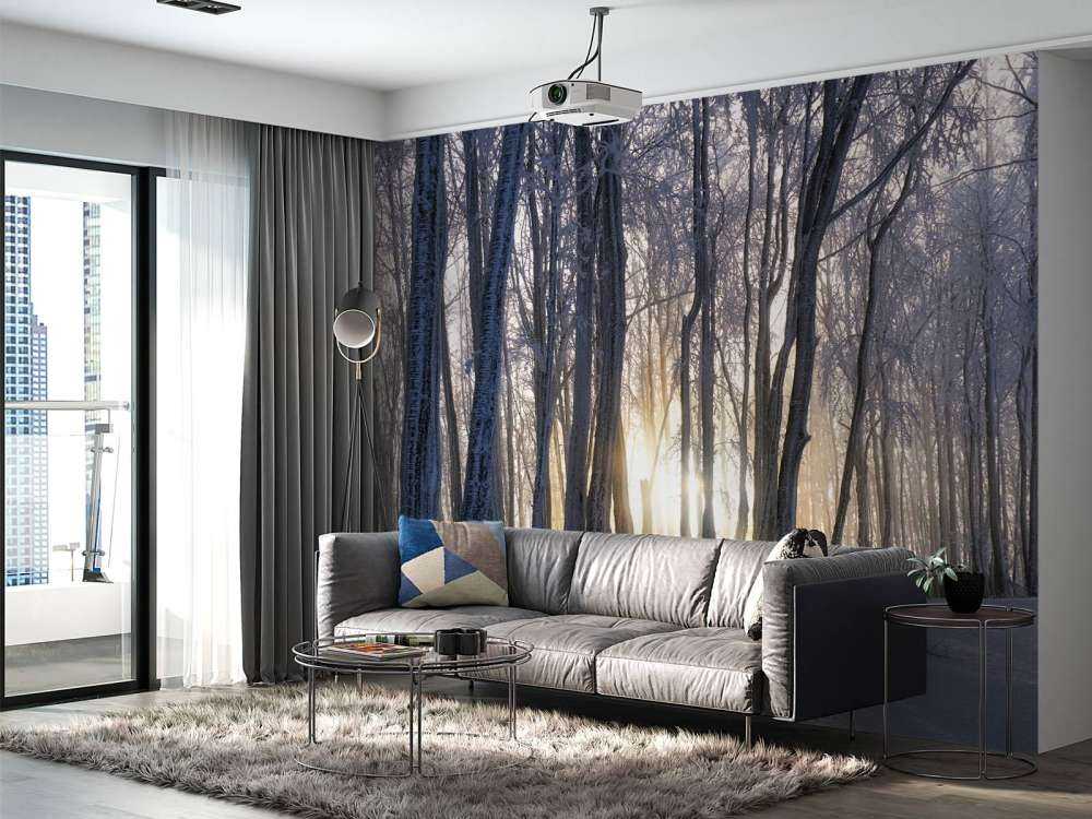 Arbres gelés