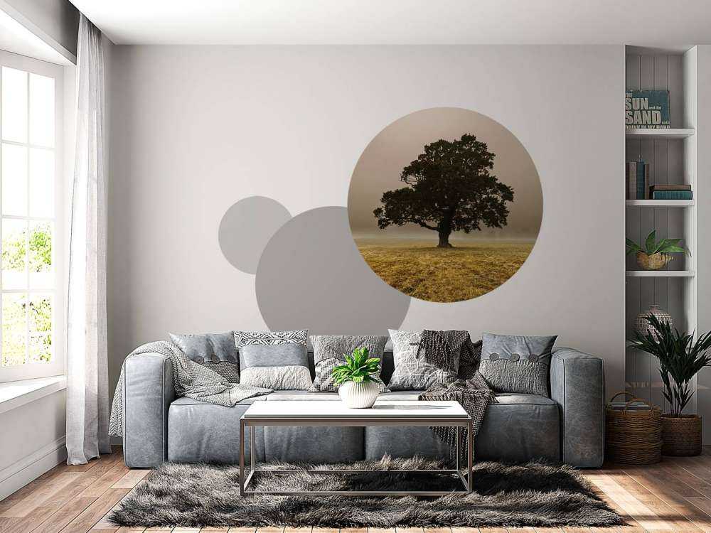 Arbre dans le brouillard