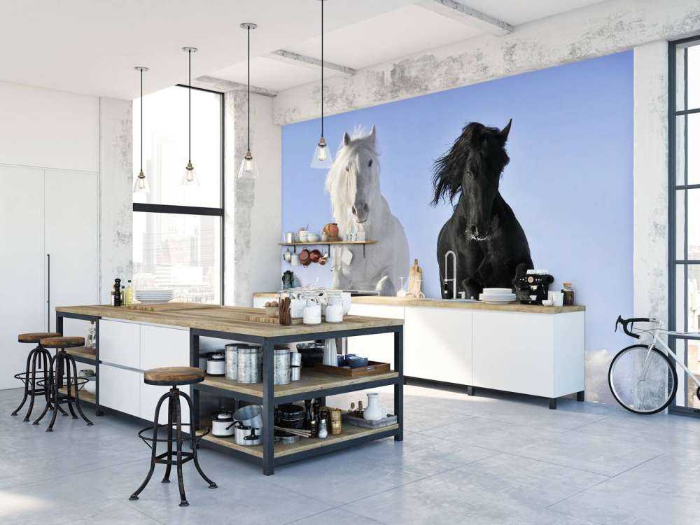 Cheval blanc et noir