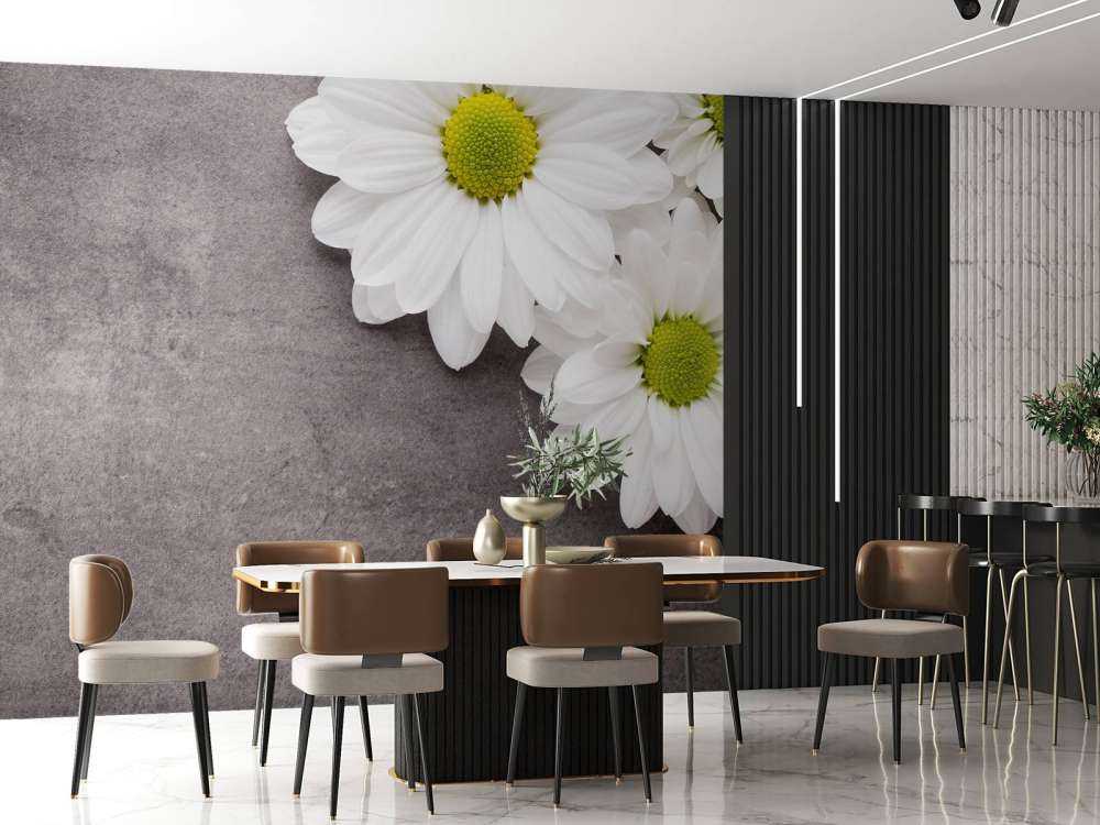 Marguerites et béton