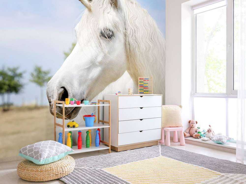 Licorne blanche