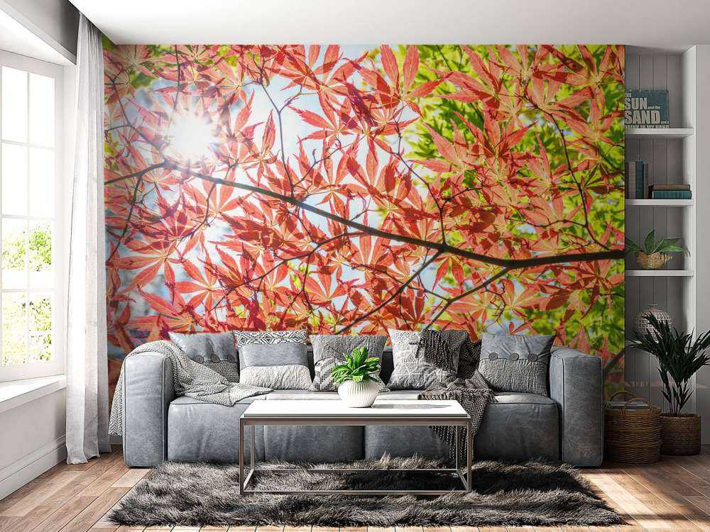 Feuilles rouges d'automne