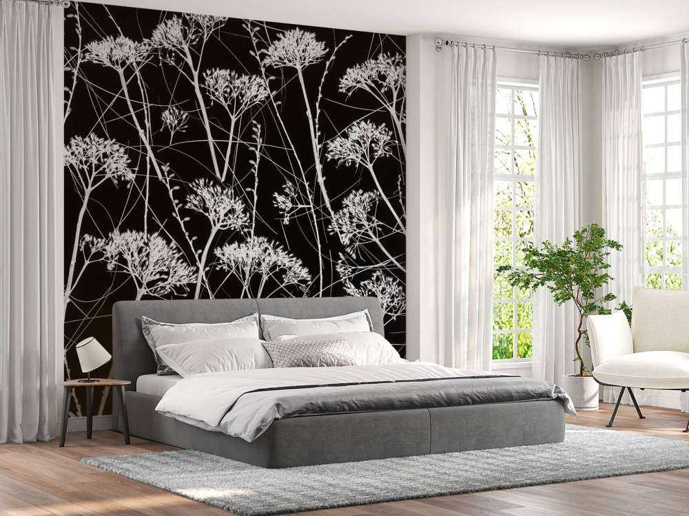 Silhouette de plantes séchées