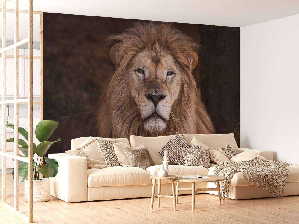 Portrait d'un lion