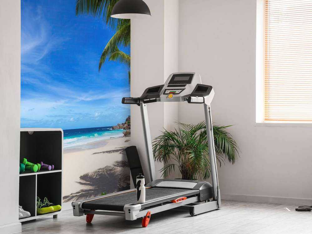 Plage tropicale avec palmier