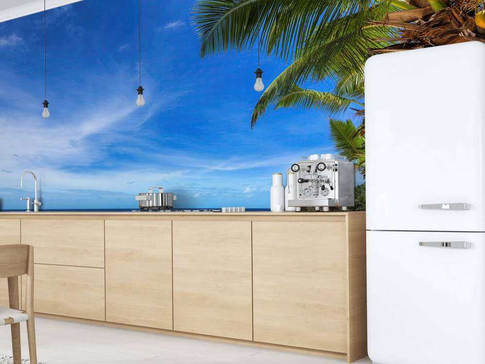 Plage tropicale avec palmier