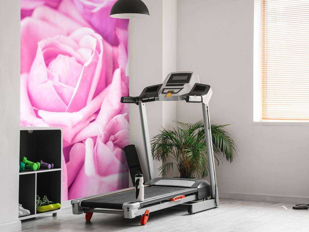 Plusieurs roses roses