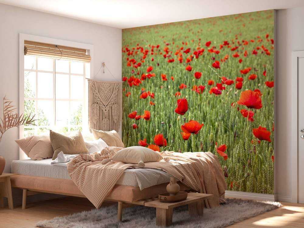Champ de coquelicots rouges