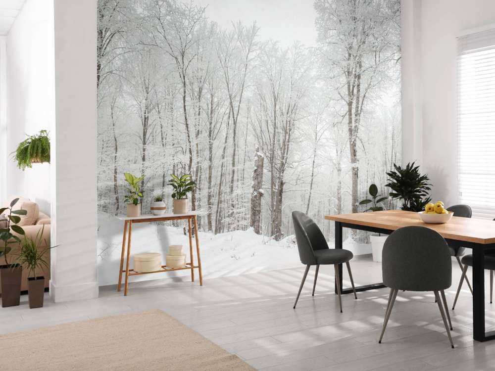 Forêt d'hiver