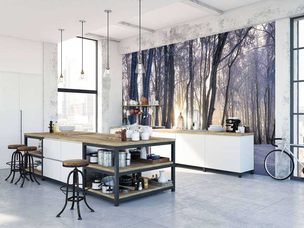 Arbres gelés