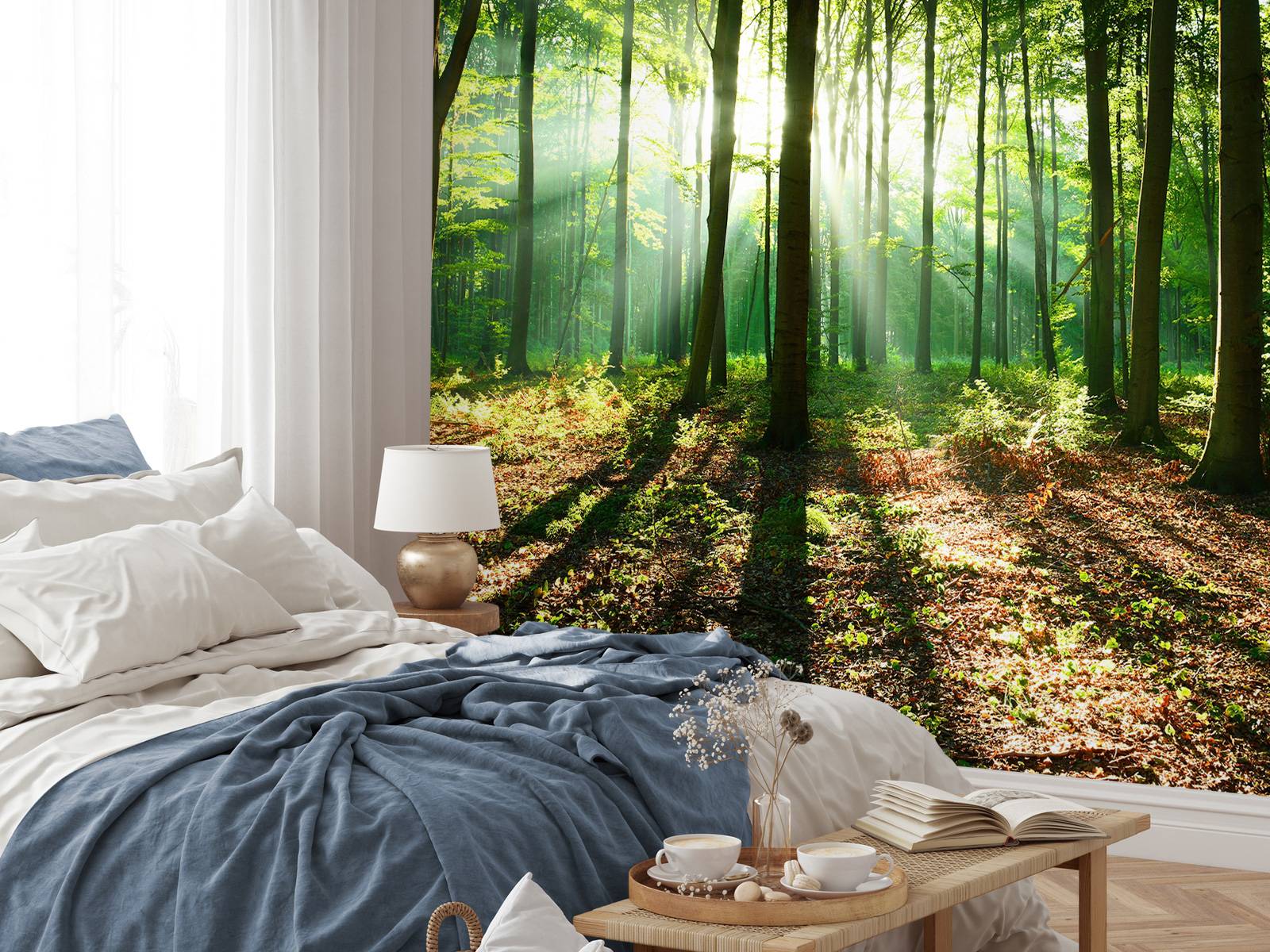 Un matin dans la forêt