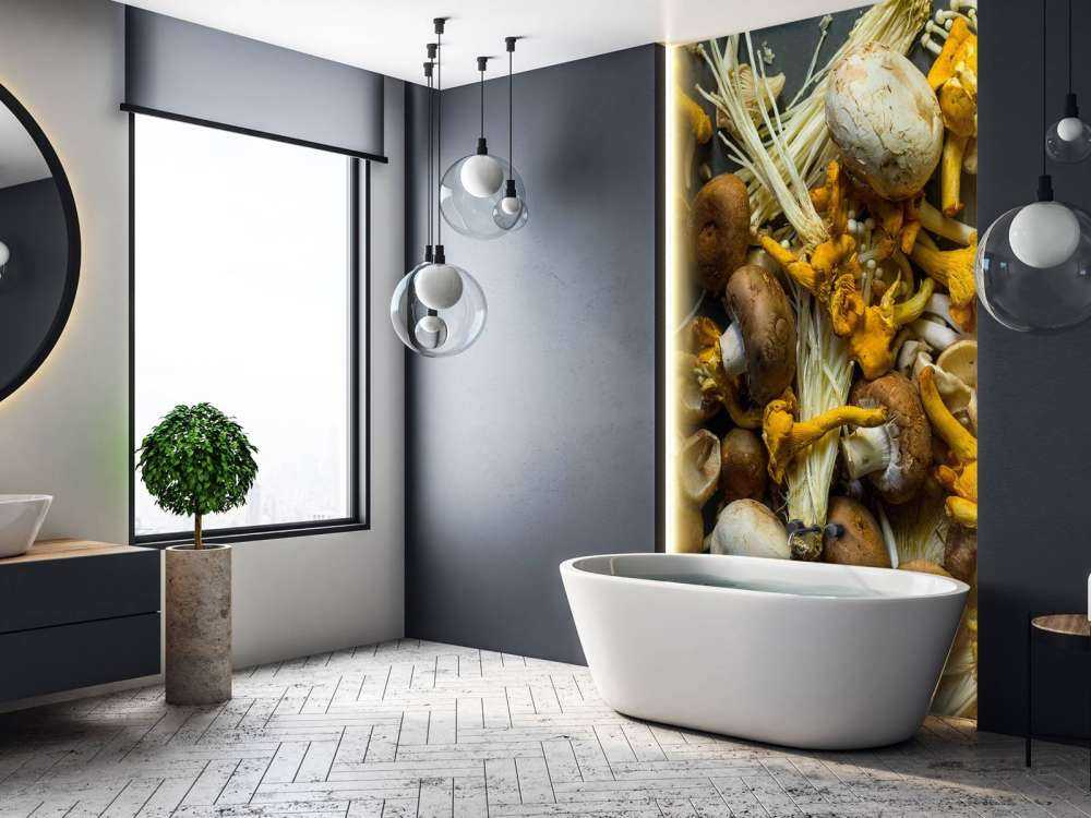 Différents champignons