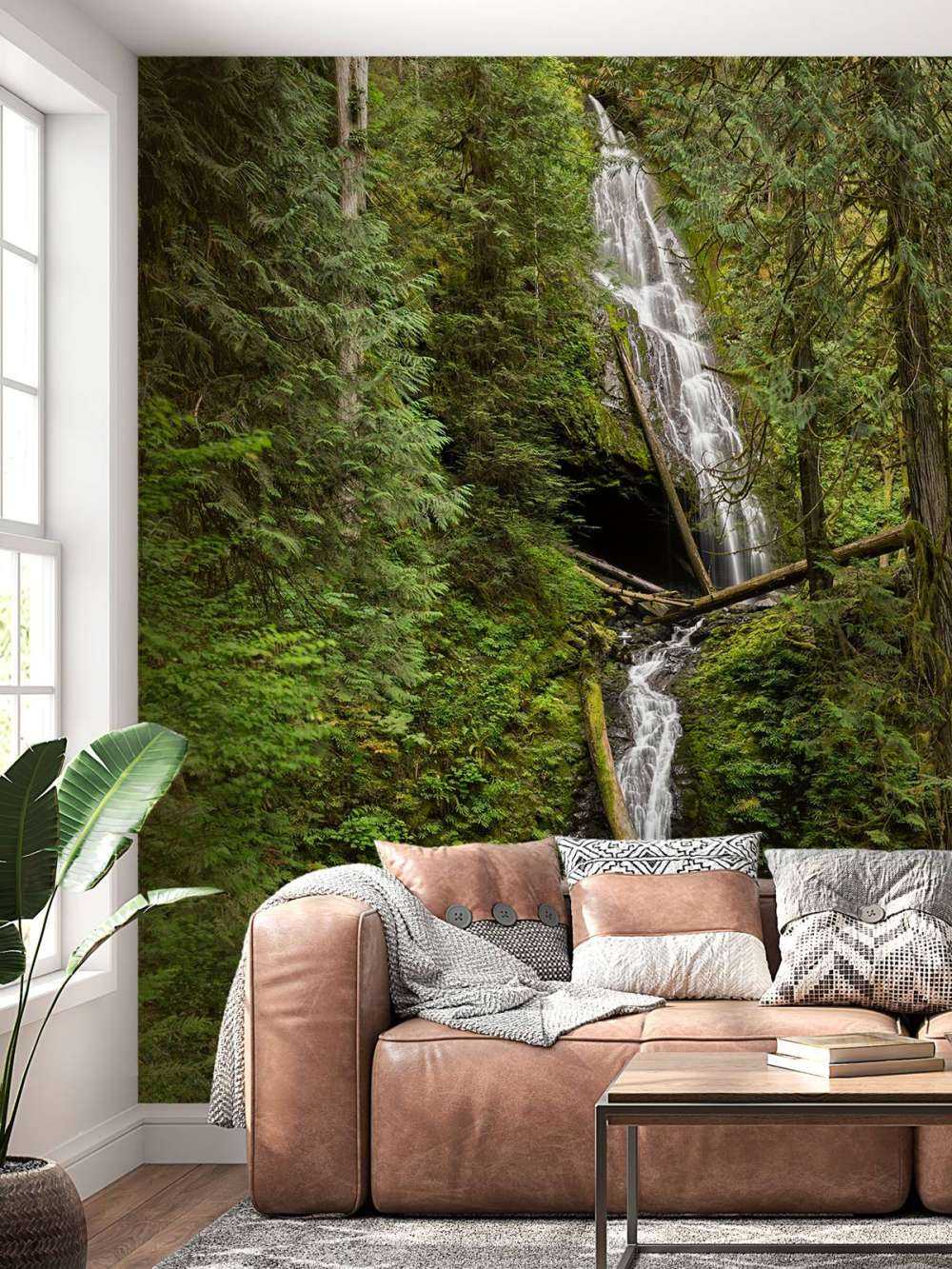 Chute d'eau avec des arbres tombés