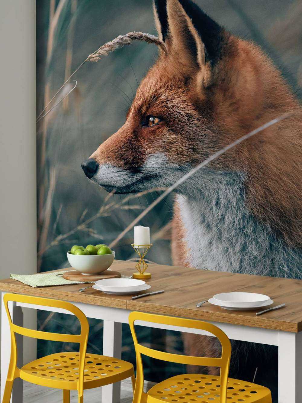 Renard dans les dunes