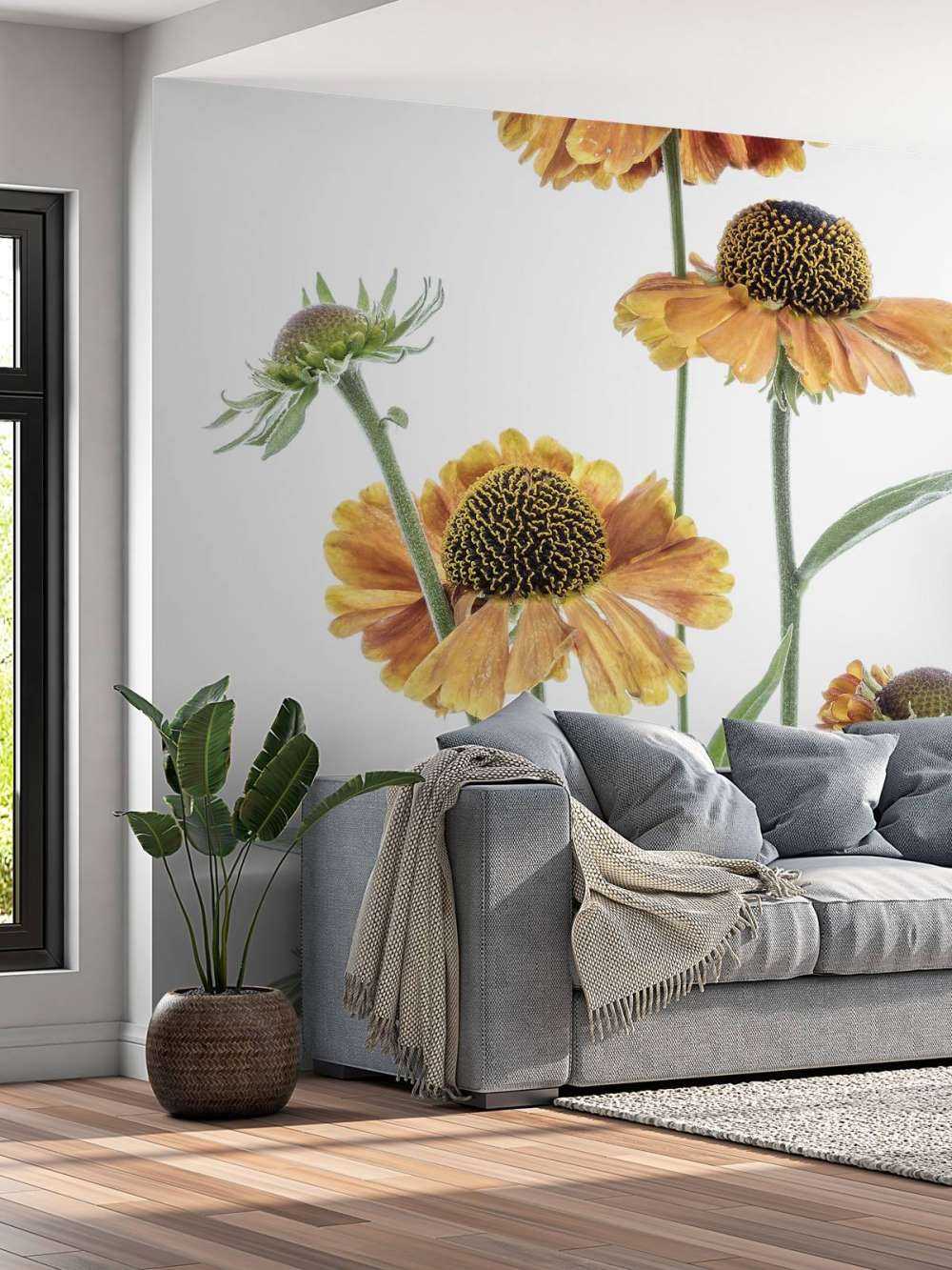 Helenium jaune
