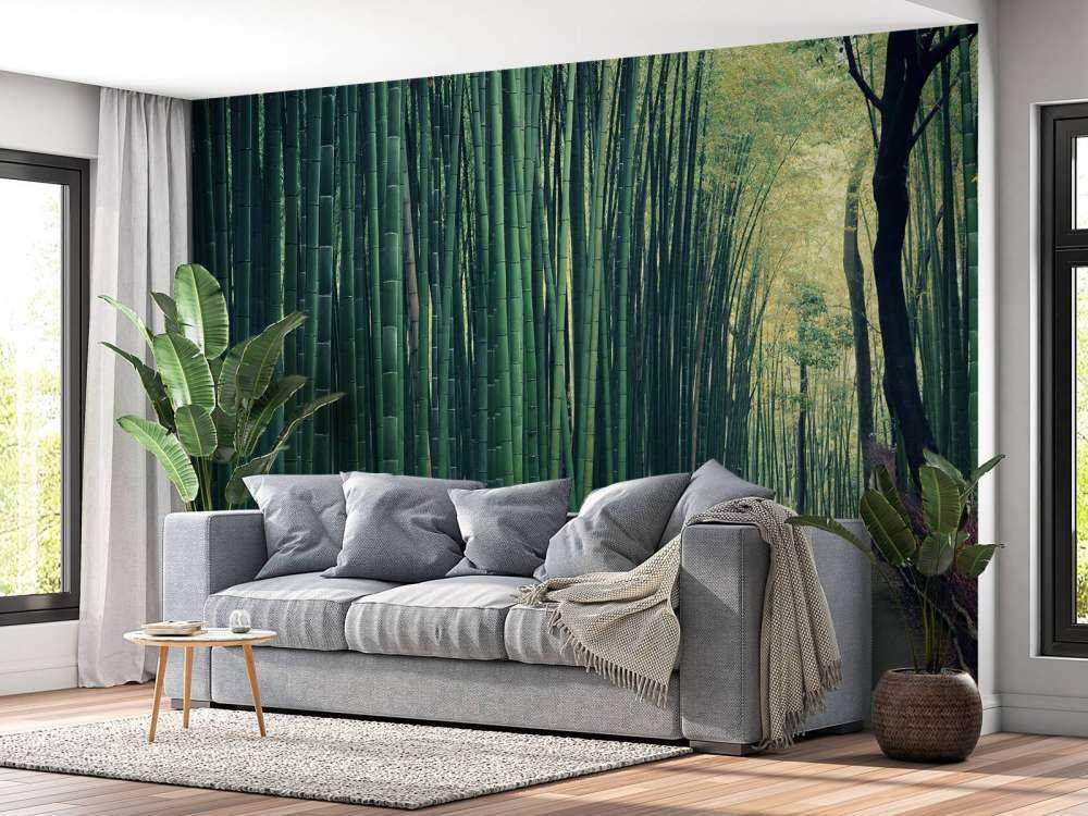 Forêt de bambous