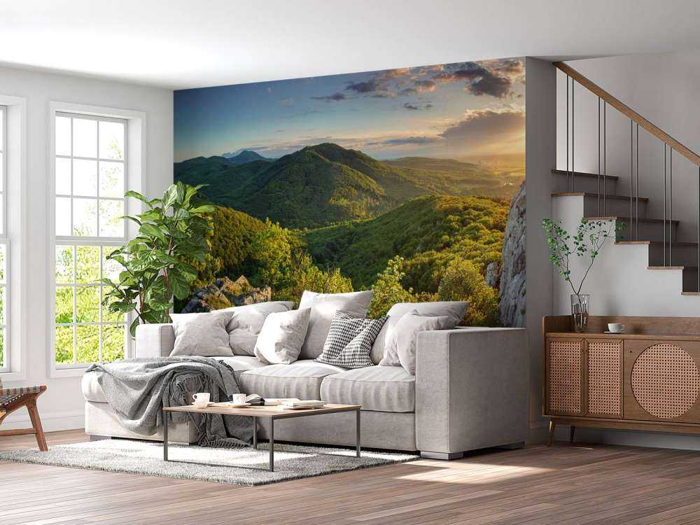Forêt de montagne