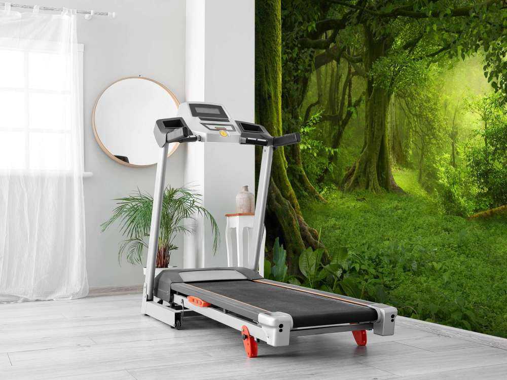Jungle verte