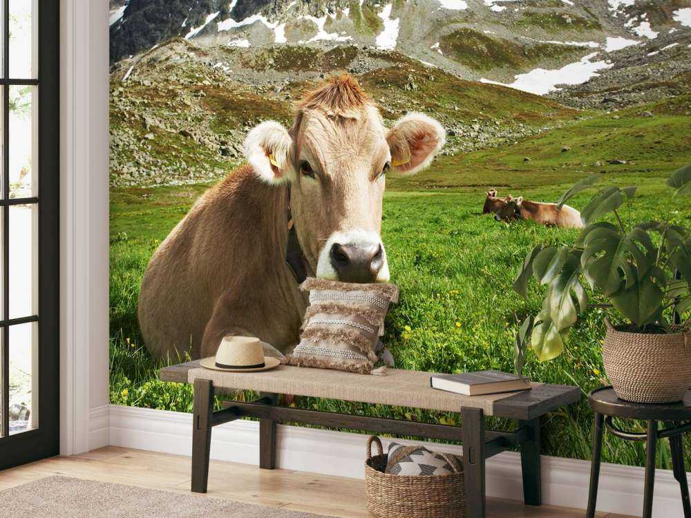 Vache autrichienne