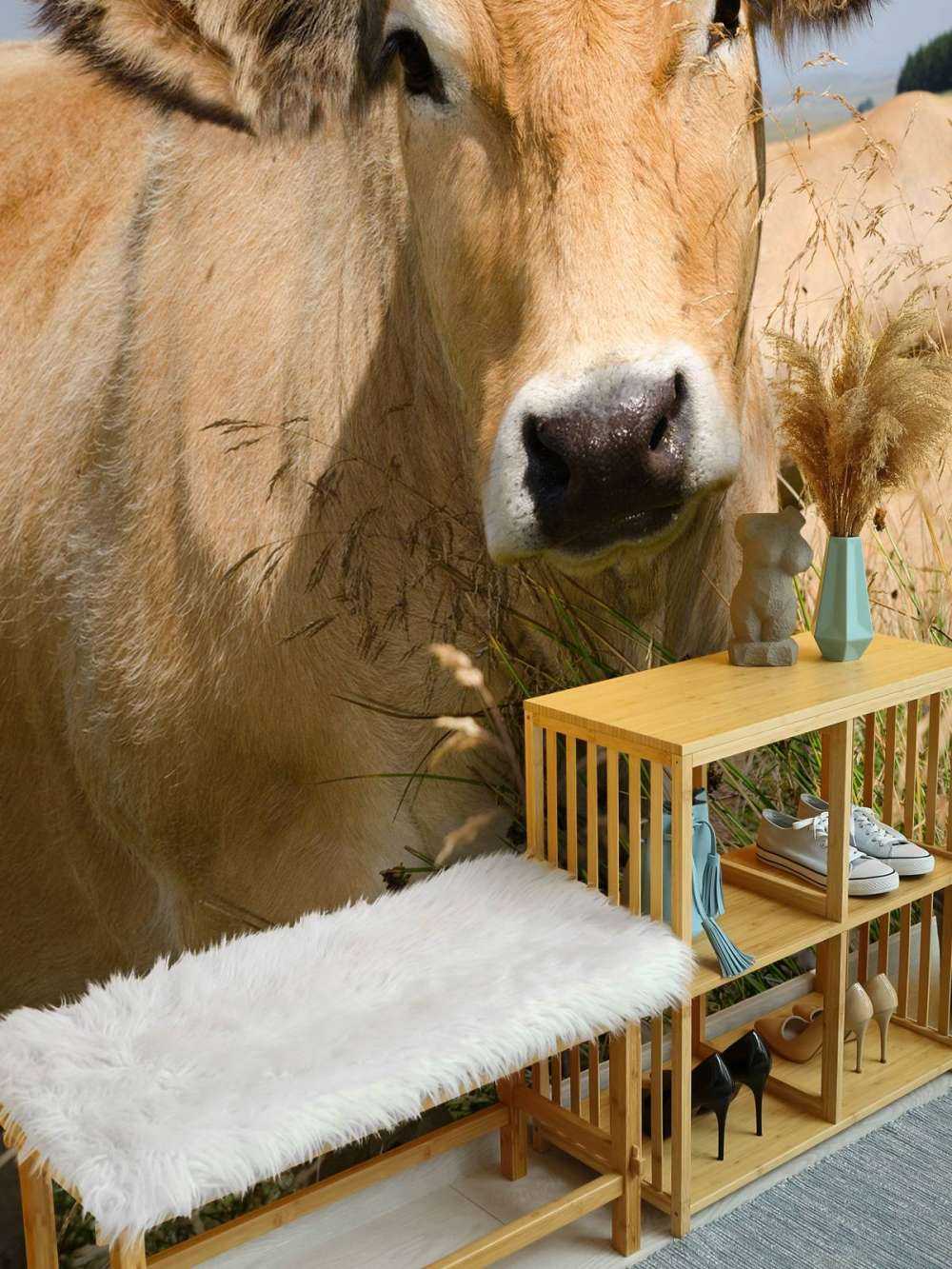 Vache à cornes