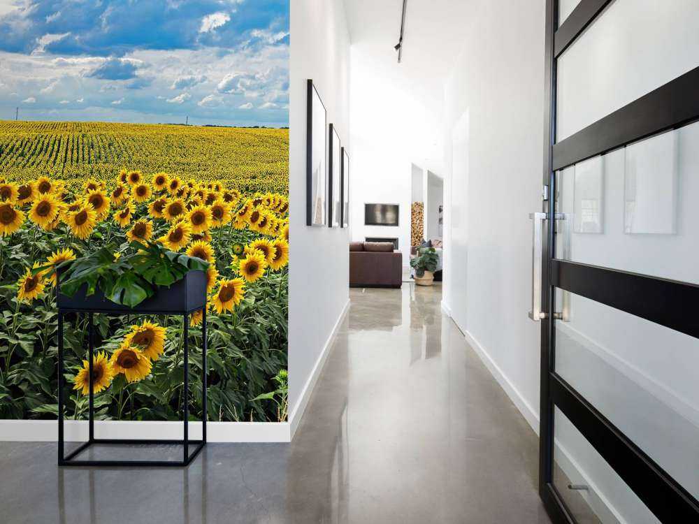 Une prairie pleine de tournesols