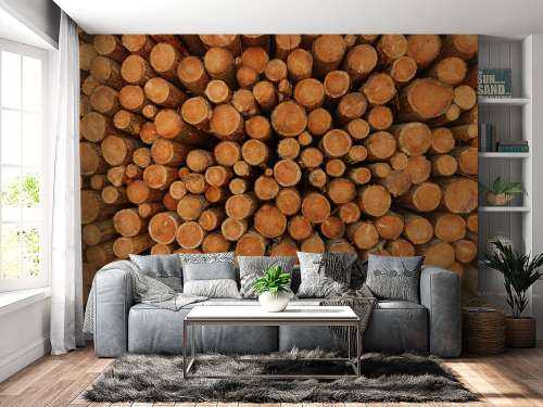 Pile de troncs d'arbres sombres