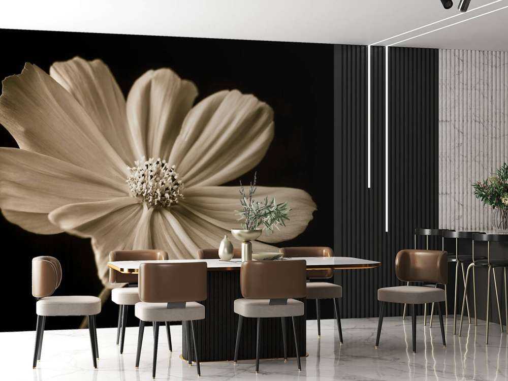 Fleur de cosmos