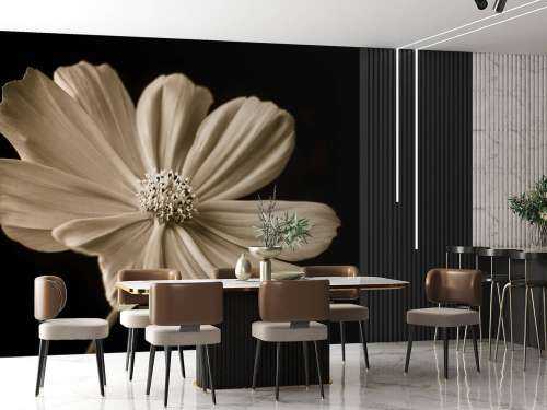 Fleur de cosmos