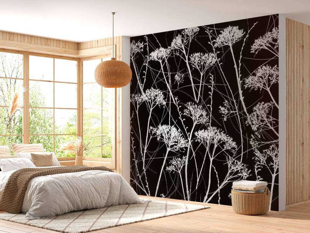 Silhouette de plantes séchées