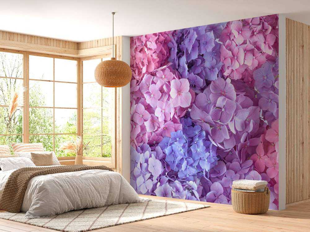 Hortensias multicolores