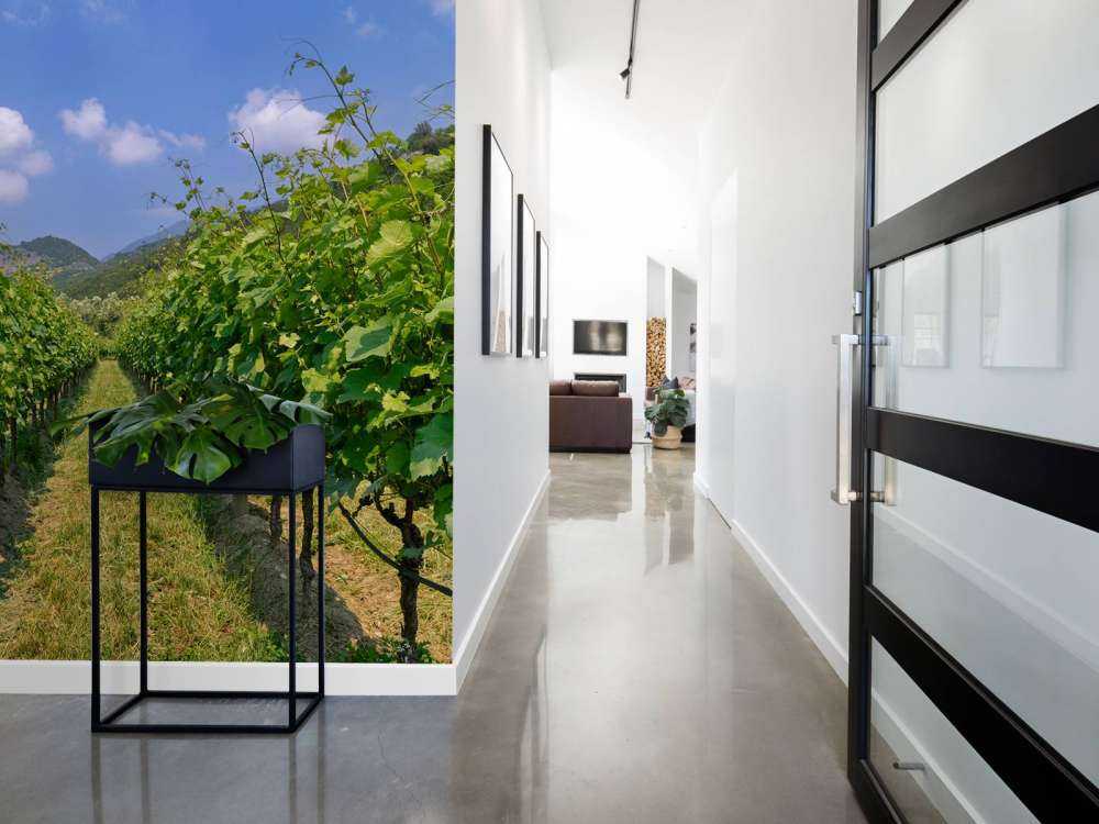 Vignoble en Italie