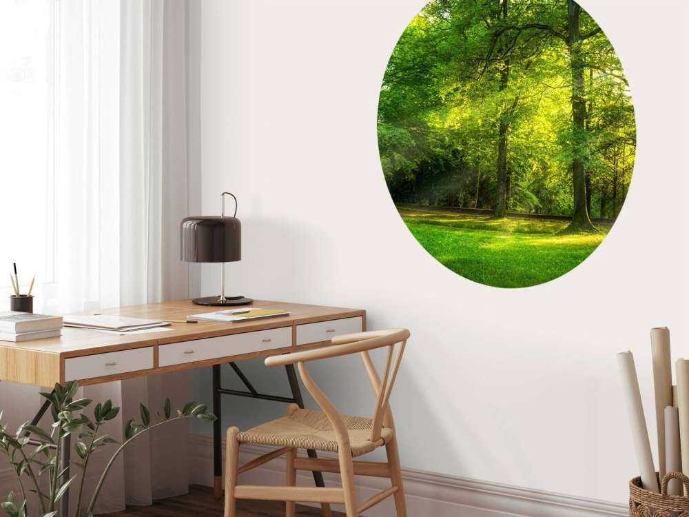 Forêt verte
