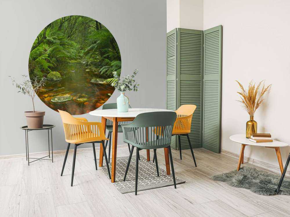 Rivière dans la forêt tropicale