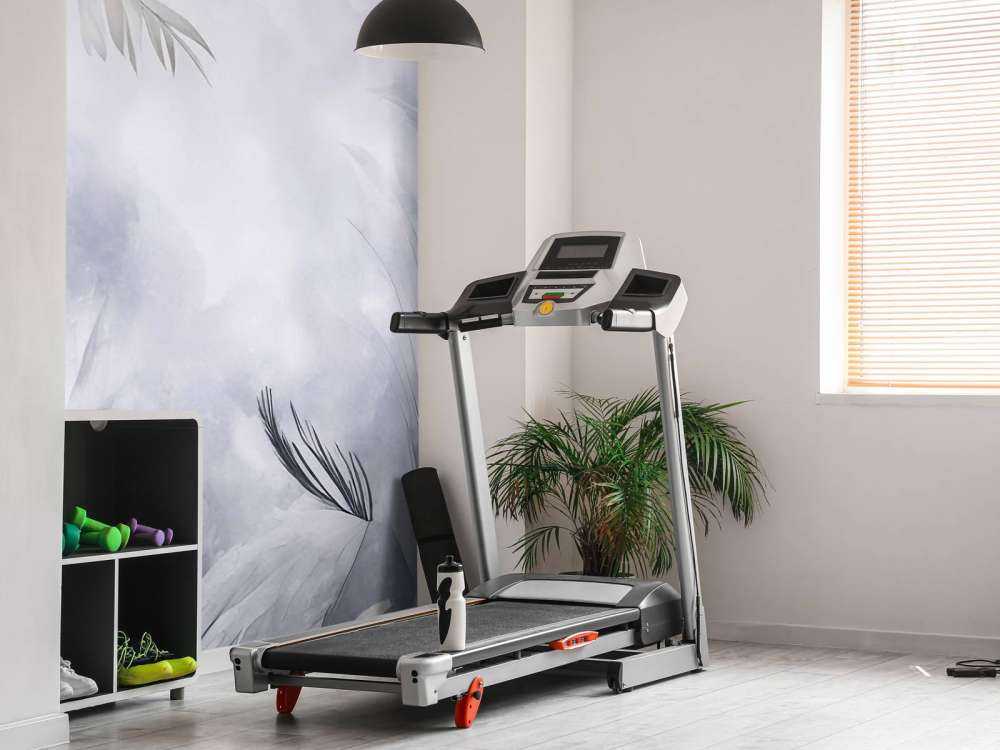 Plumes Magiques Pourpres