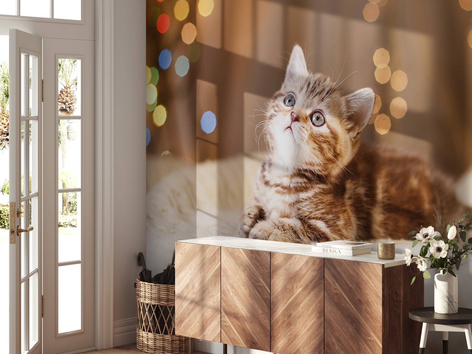 Une jolie chat