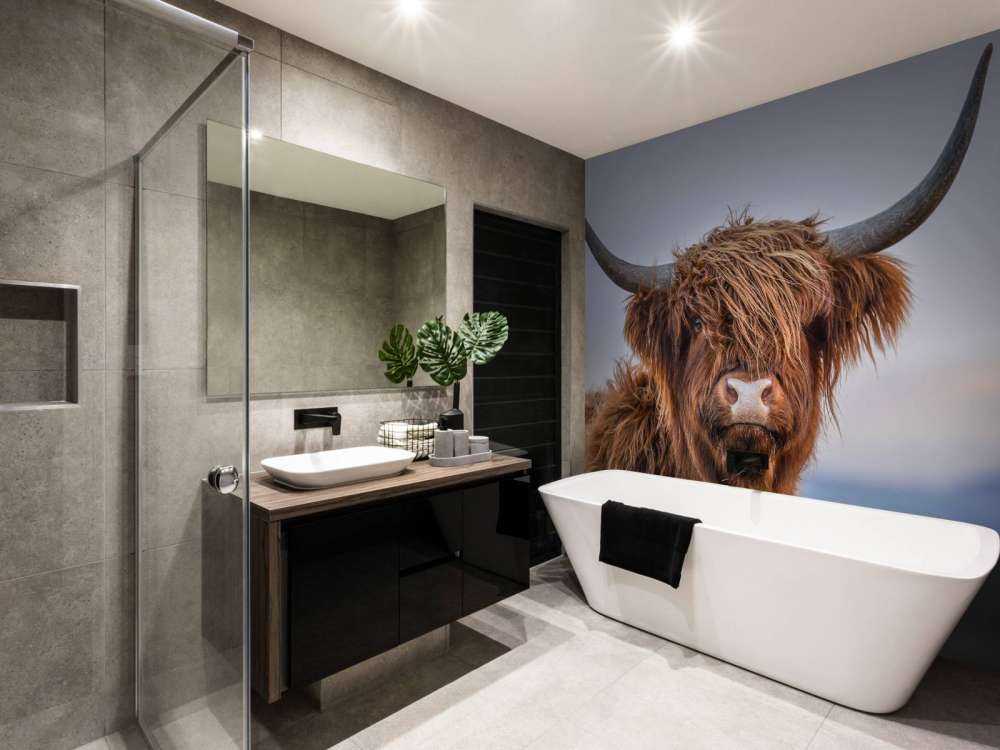 Le Highland écossais en vedette