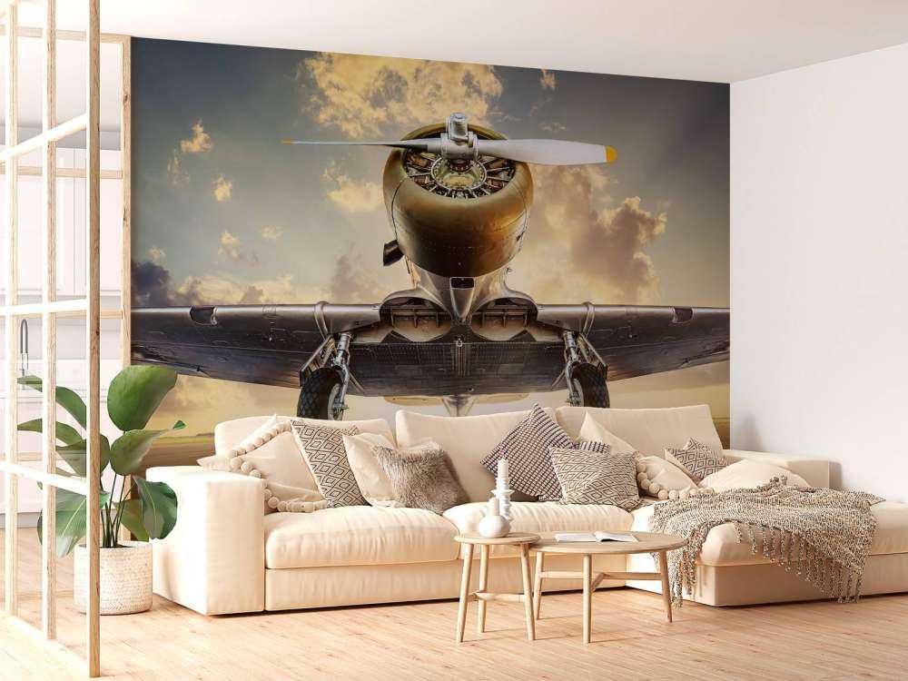 Avion historique