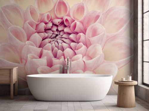 Dahlia en gros plan