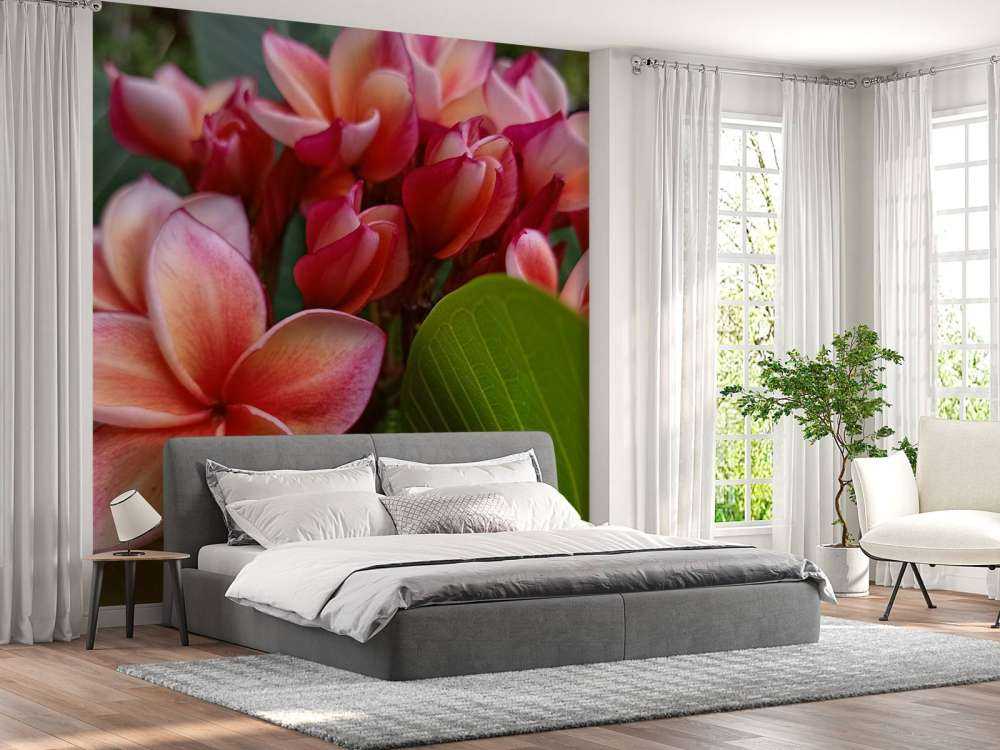 Fleurs tropicales