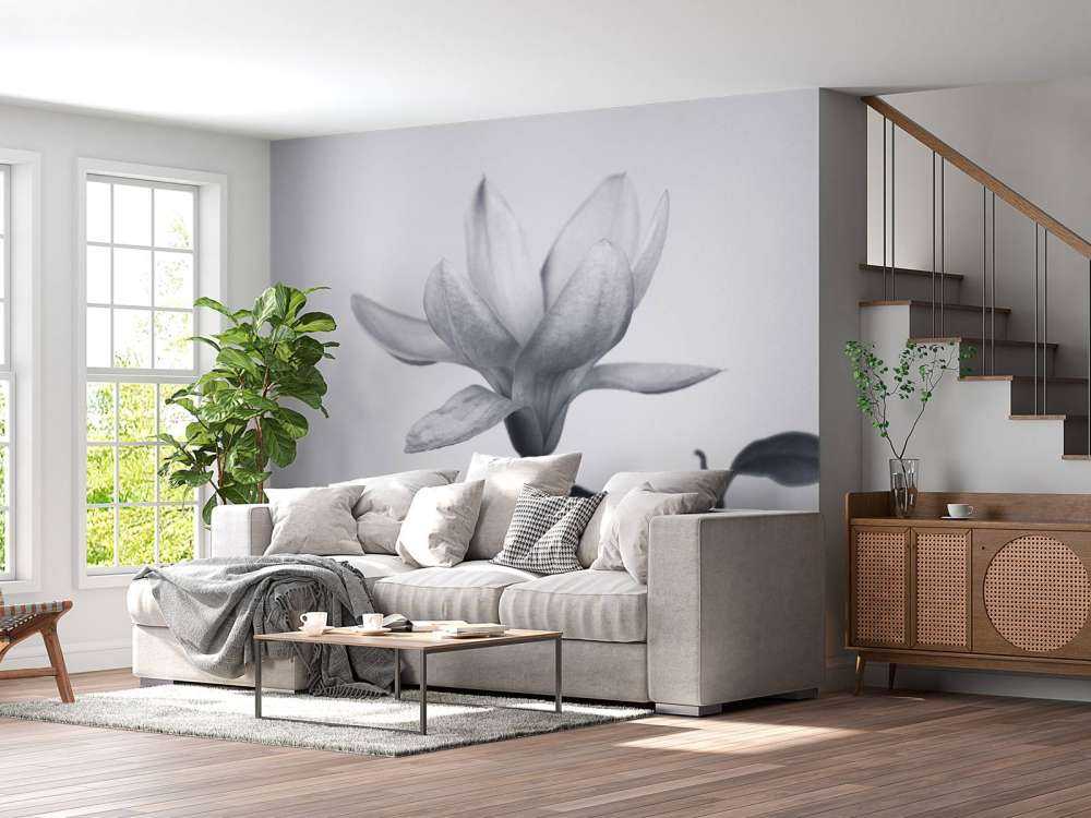 Magnolia
