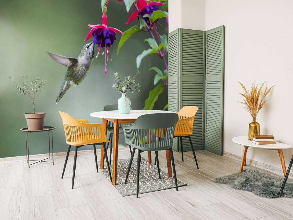 Colibri en vol